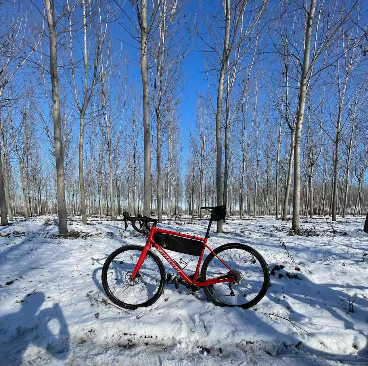 Bikerumor Pic Of The Day: Northern Italy Gravel Ride