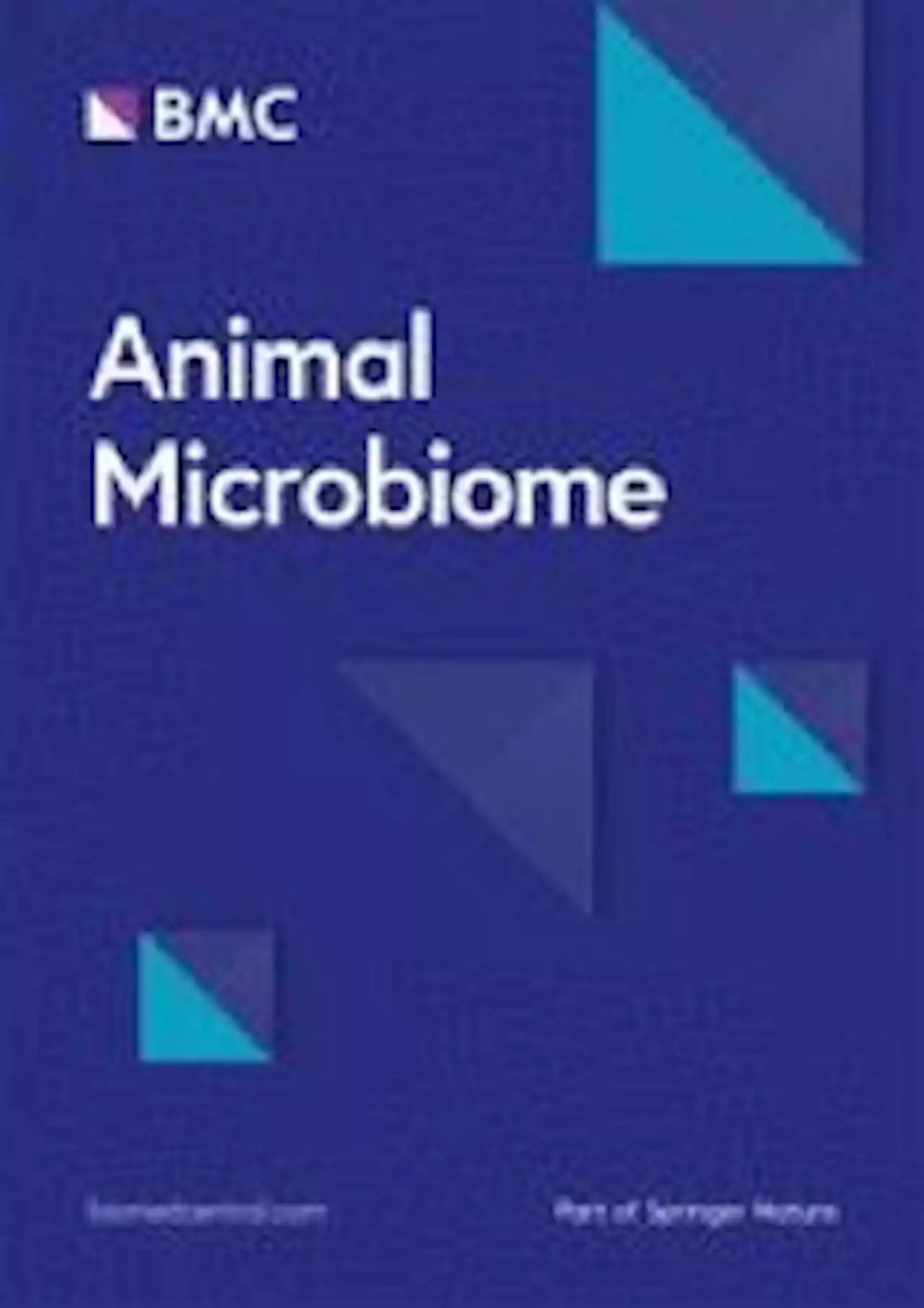 Investigating the impact of database choice on the accuracy of metagenomic read classification for the rumen microbiome - Animal Microbiome