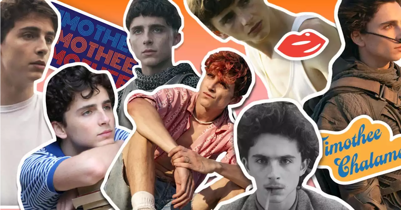 Timothee Chalamet Performances Ranked