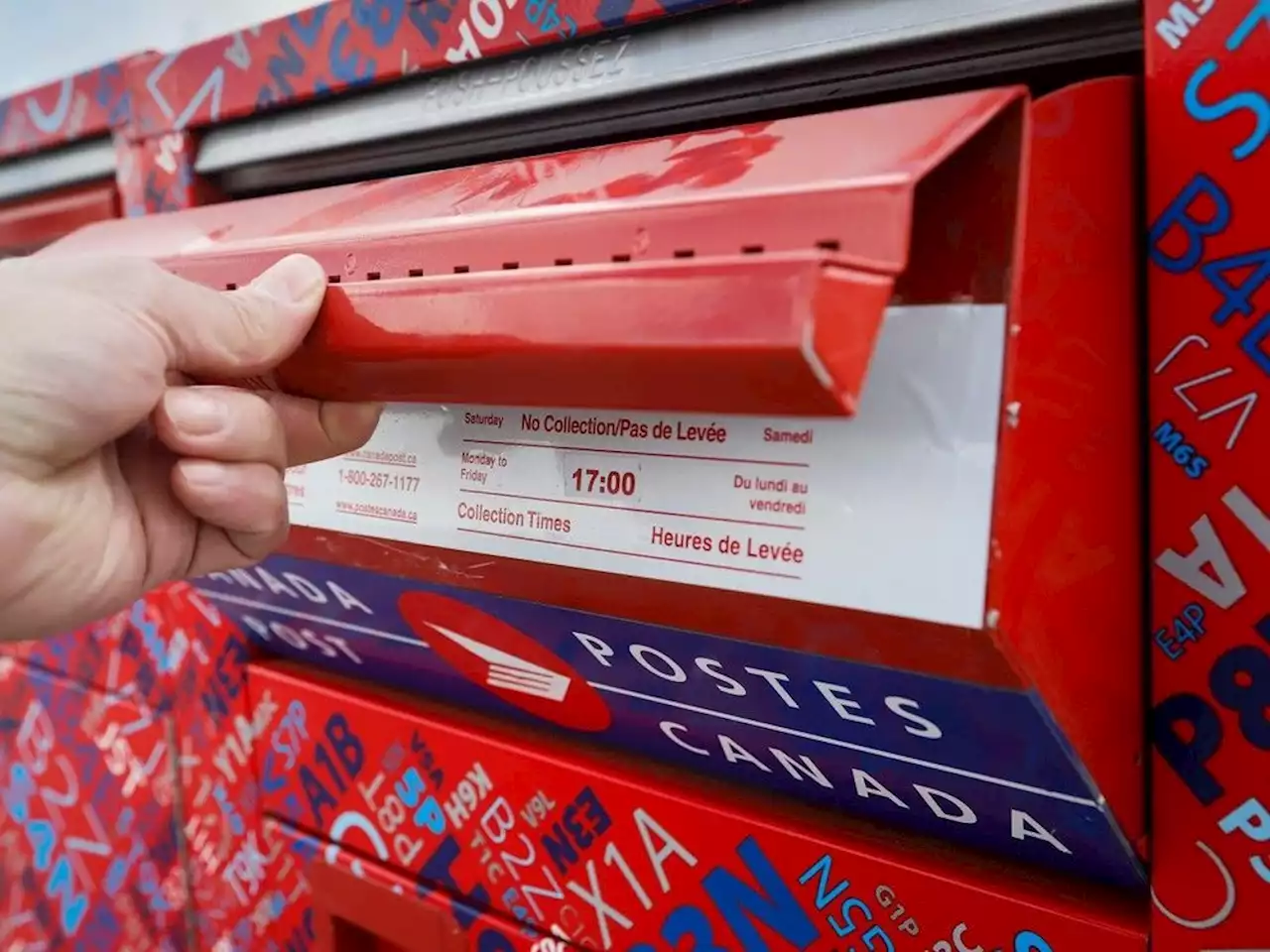 Wainwright Canada Post worker facing mail theft charges after RCMP find 500-parcel stash