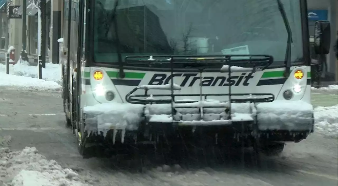 Snow may cancel or delay buses in Victoria, BC Transit warns