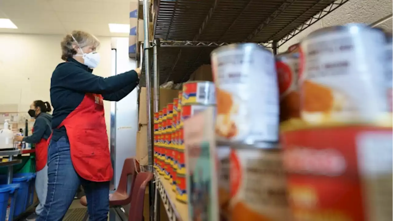 More Ontarians relying on food banks and visiting them more frequently: Feed Ontario