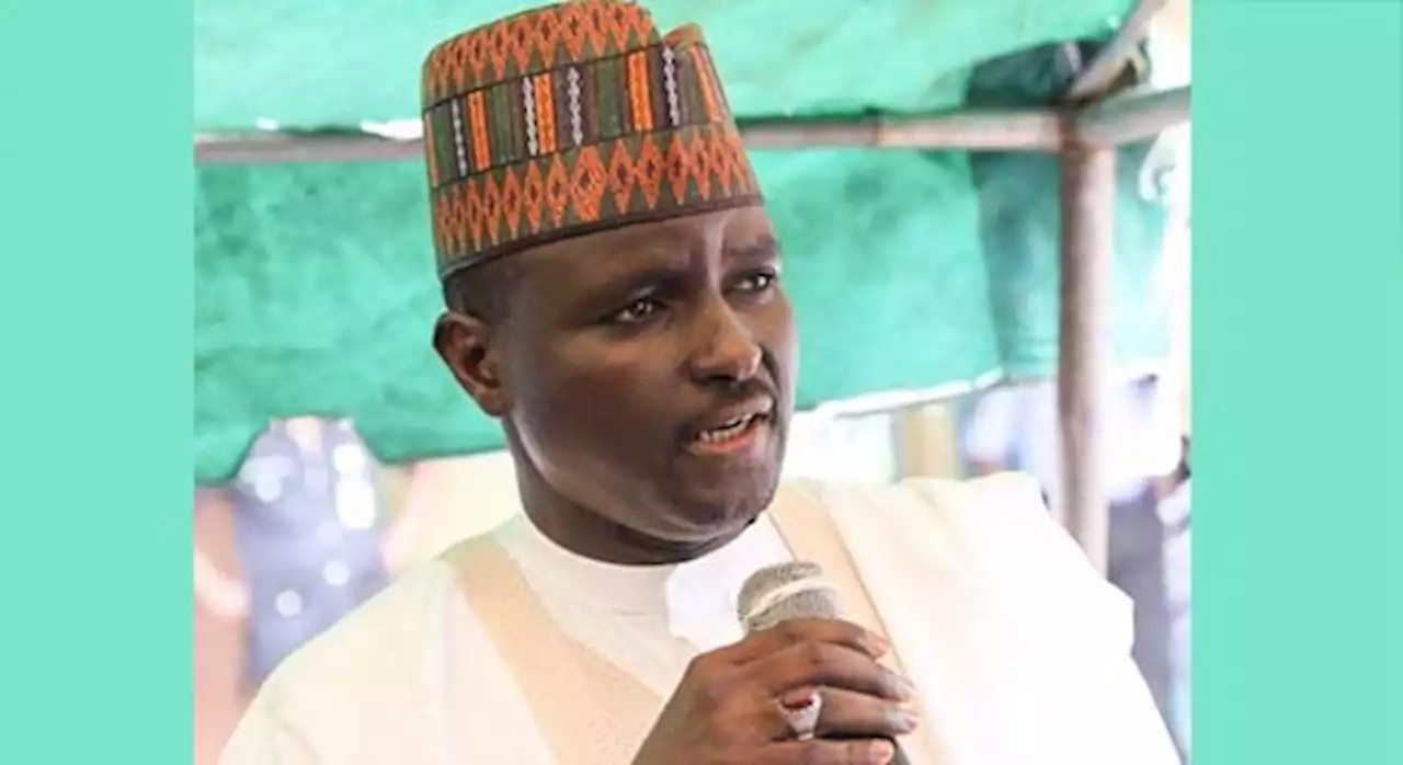 Yobe: Appeal Court upholds Machina's victory in APC senatorial primary - Daily Trust