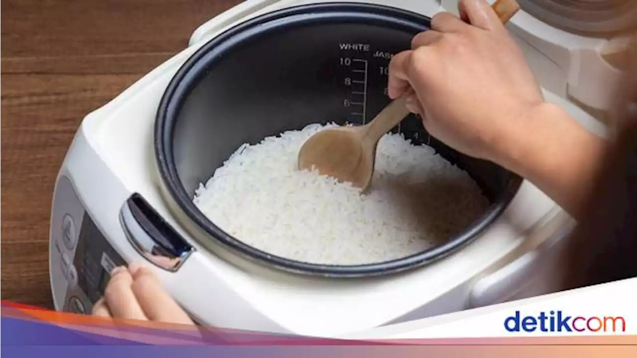 Wacana Bagi-bagi Rice Cooker Rp 500.000 Dinilai Kemahalan, ESDM Bilang Begini