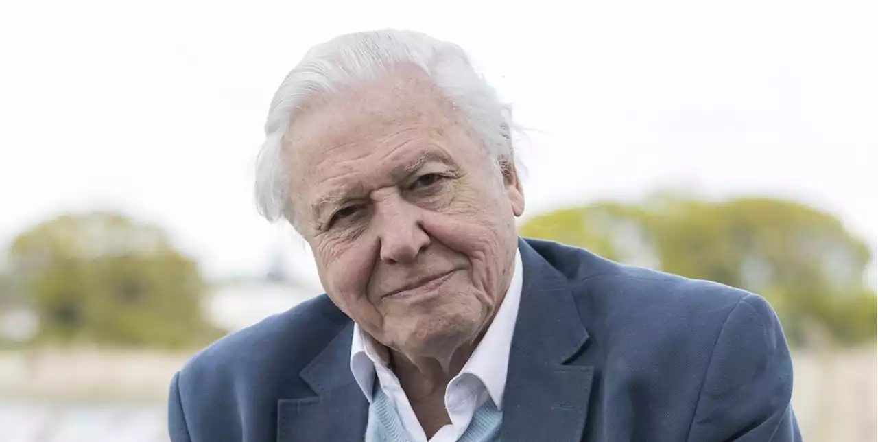 David Attenborough and BBC Earth announce new immersive experience