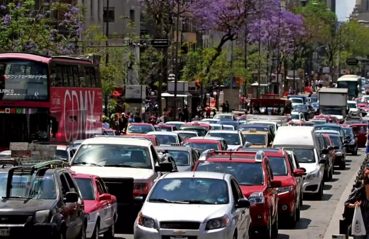 Hoy no circula. ¿Qué autos no circulan este lunes 28 de noviembre?