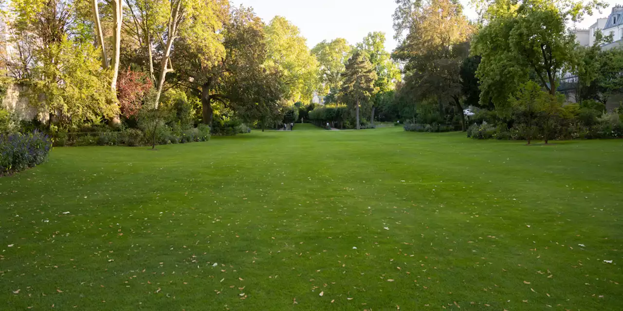 Les espaces verts de Matignon en route vers le label éco jardin