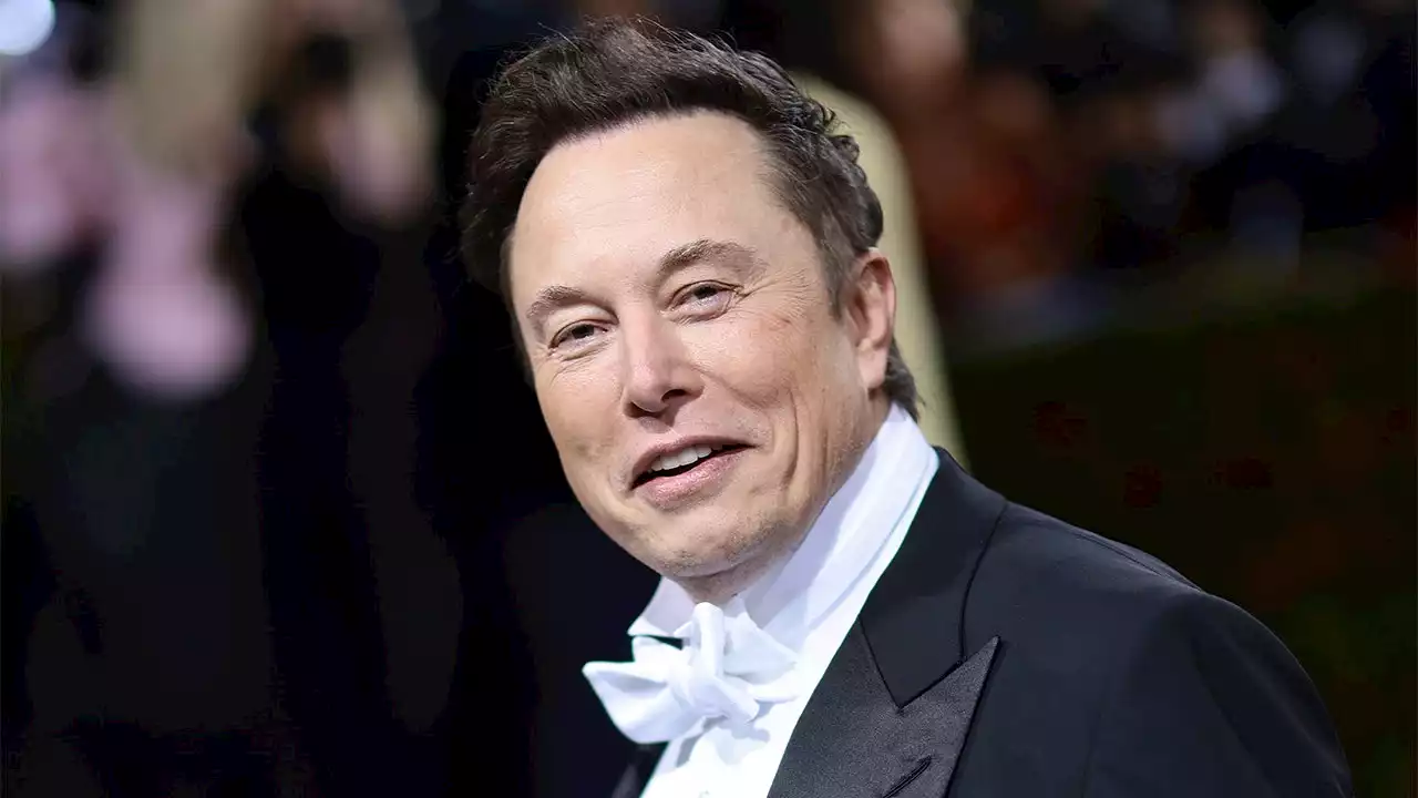 Elon Musk reveals he sleeps next to two guns and a painting of George Washington