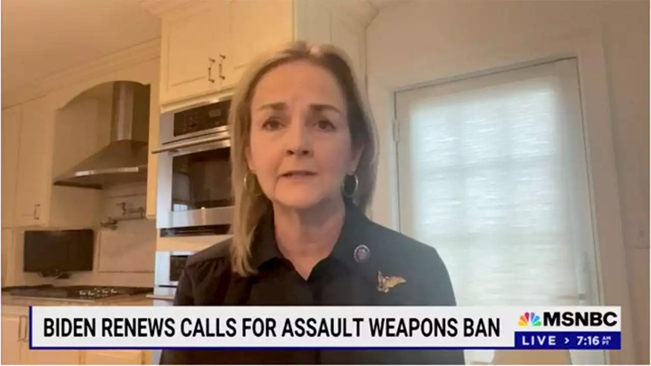 Dems pressed on Biden's call for assault weapons ban during lame duck session: Filibuster causing 'problems'