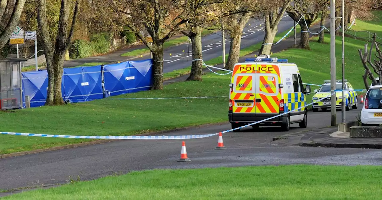 Family left 'broken' after death of man in fatal Paisley road crash