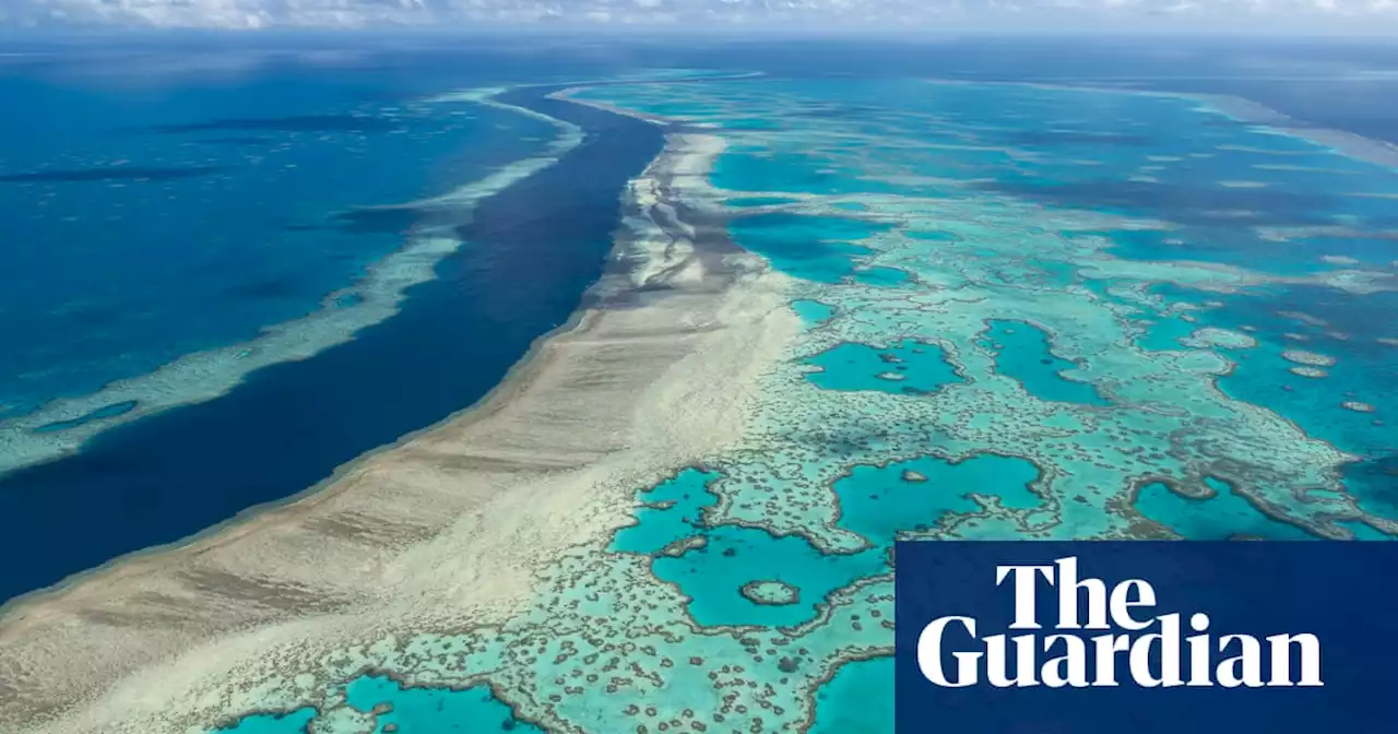 Morning Mail: ‘in danger’ report for Great Barrier Reef, trains take plane fare strain, rental stress soars