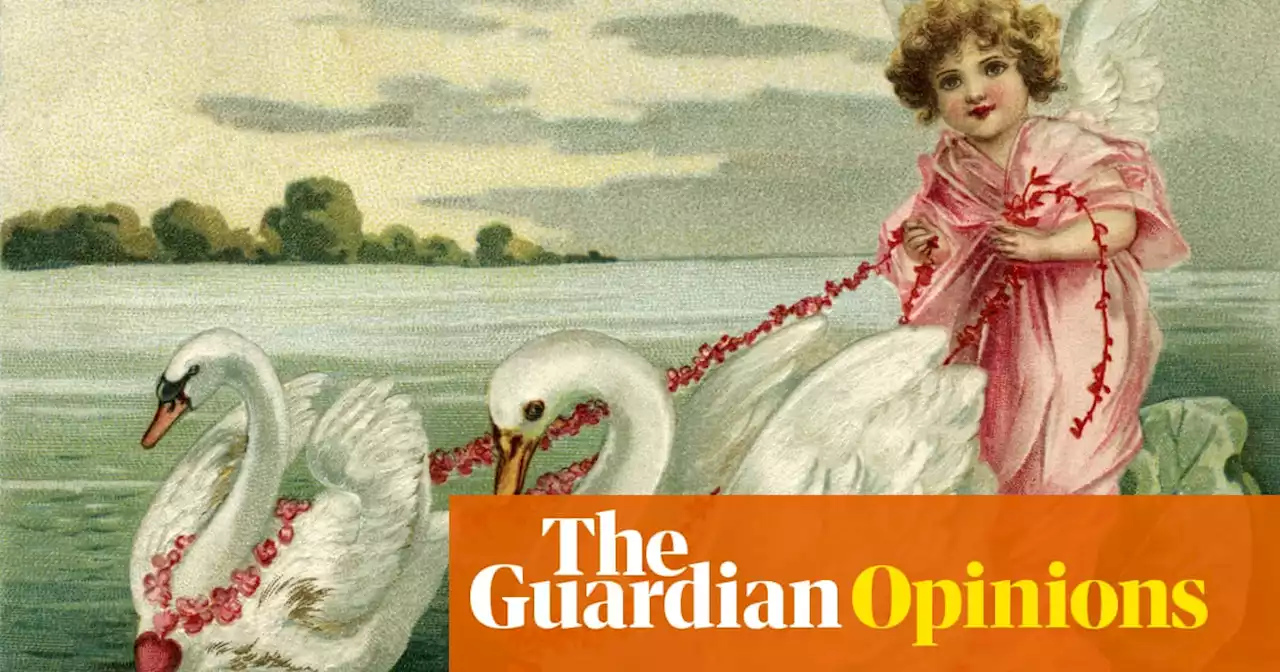 The swan: would it seem so perfect if there were not usually a goose hissing nearby? | Helen Sullivan