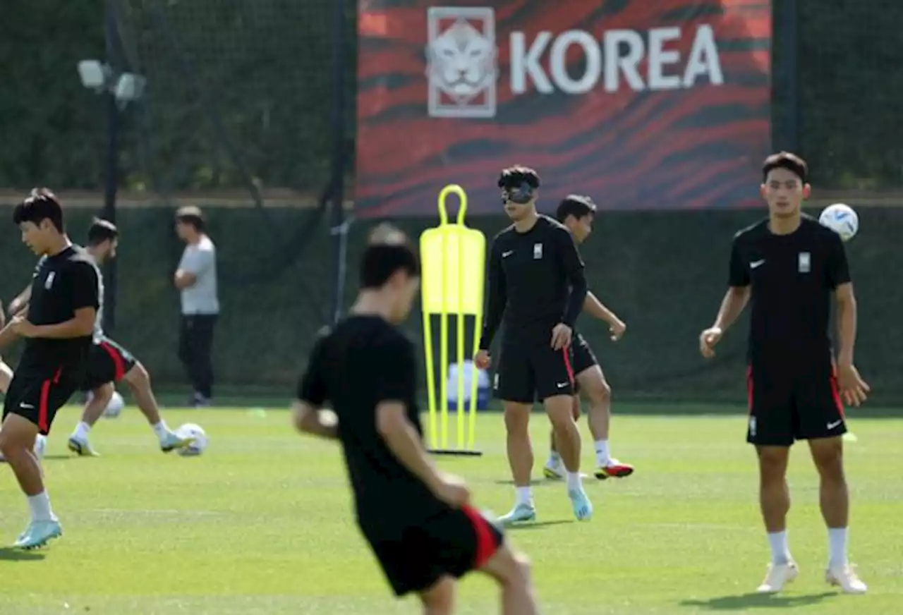 '한국, 가나전 승리'... '인간 문어' 서튼의 예언 이번에도 적중할까