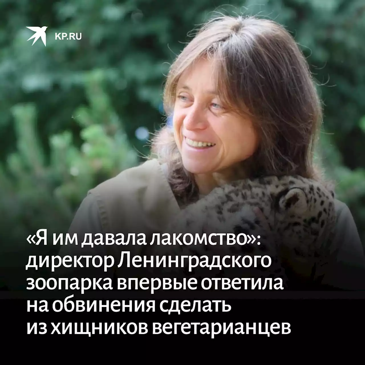 «Я им давала лакомство»: Уволенная директор Ленинградского зоопарка впервые ответила на обвинения сделать из хищников вегетарианцев