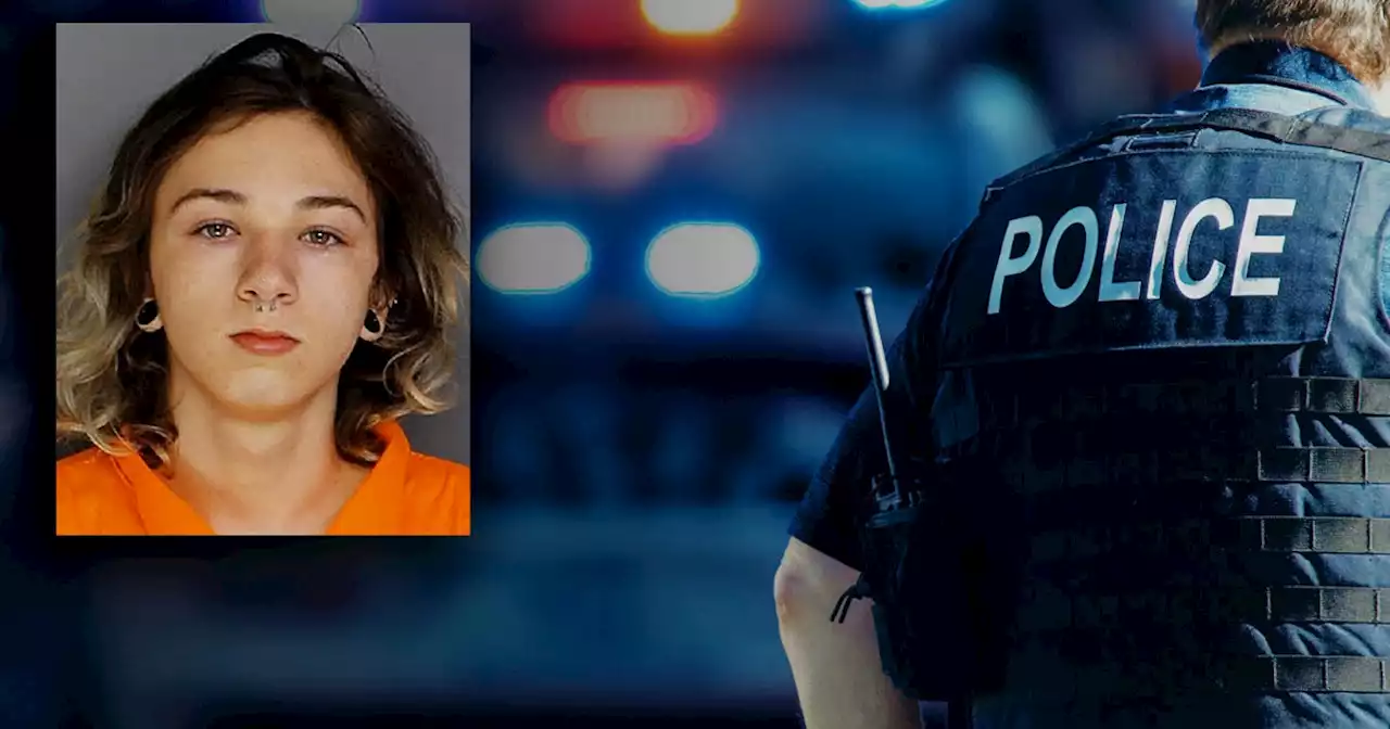 Teenie bat im Web um Hilfe bei Leichenbeseitigung