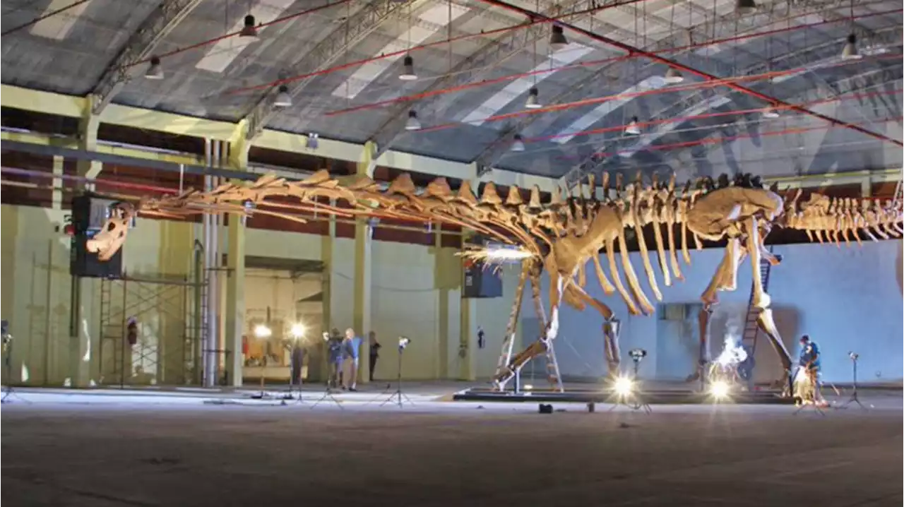 Huge model of Patagotitan dinosaur to go on display in London next year