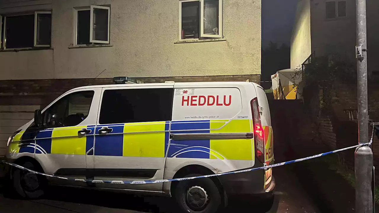 Three arrested after two babies found dead in house in South Wales