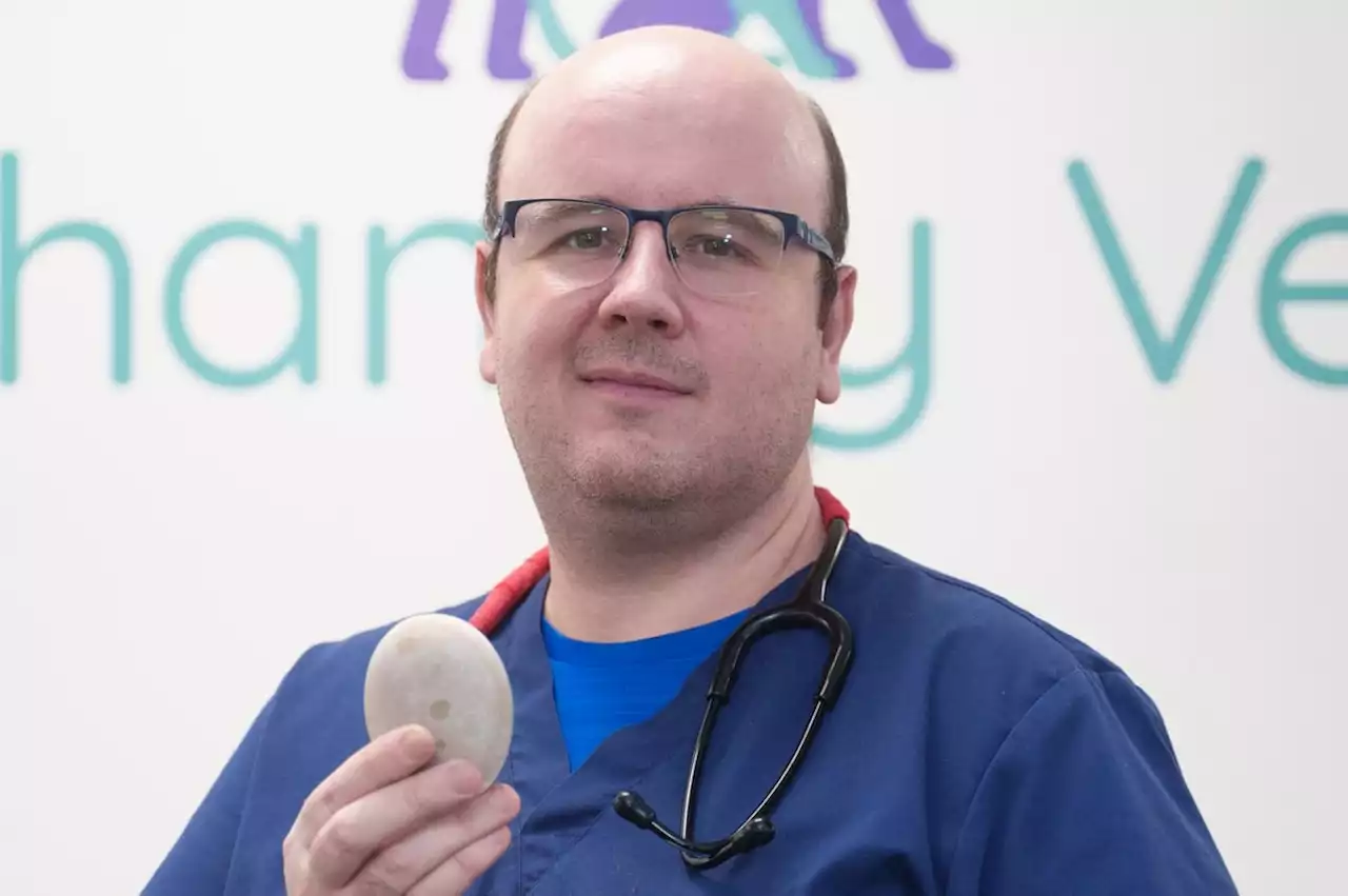 'We were both mesmerized': Pictures show 'huge' bladder removed from dog by vet in West Yorkshire