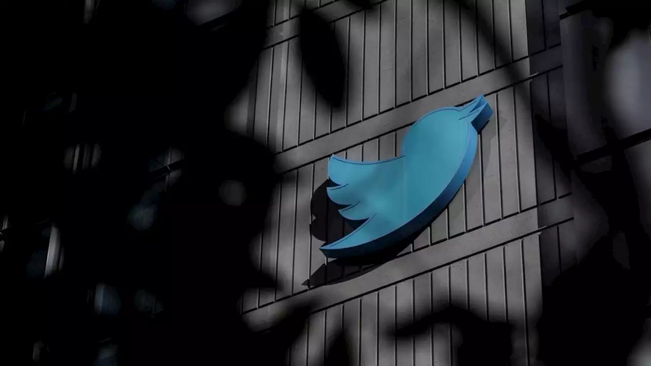 Twitter : craintes sur la modération de la plateforme après la vague de licenciements