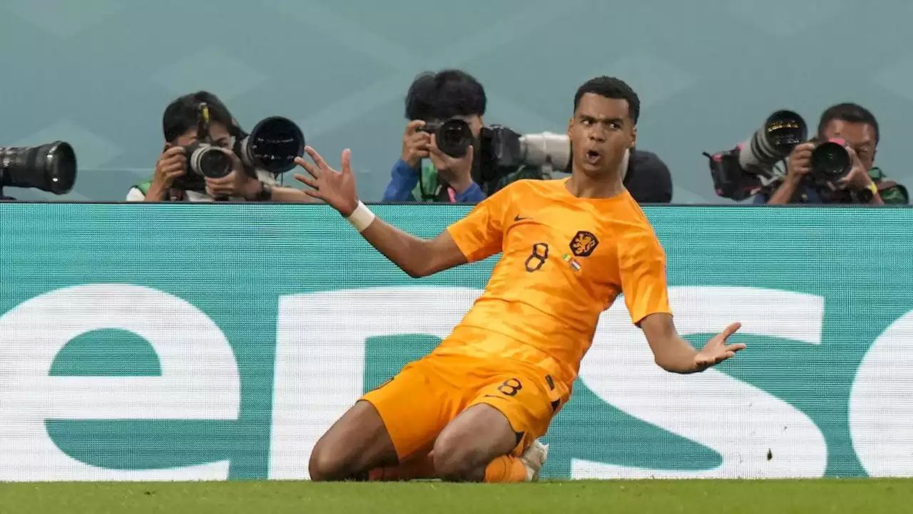 Tampil Gemilang di Piala Dunia 2022, Cody Gakpo Menanti Kesempatan Hijrah ke MU