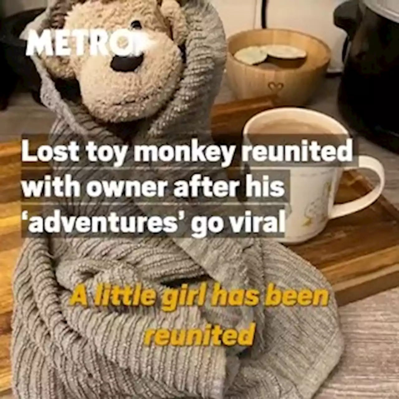 Lost toy monkey reunited with owner after his 'adventures' go viral