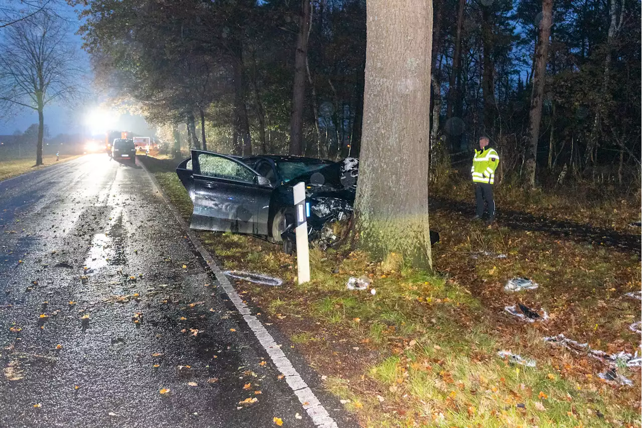 Schwerer Unfall im Norden: Hamburger fährt gegen Baum und stirbt