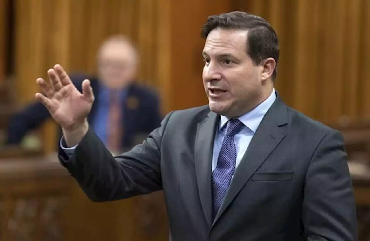 Conservatives are ‘fearmongering’ over assault-style gun ban: public safety minister | National Newswatch