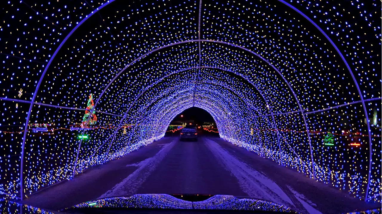 10 Magical Holiday Light Displays in Southern California