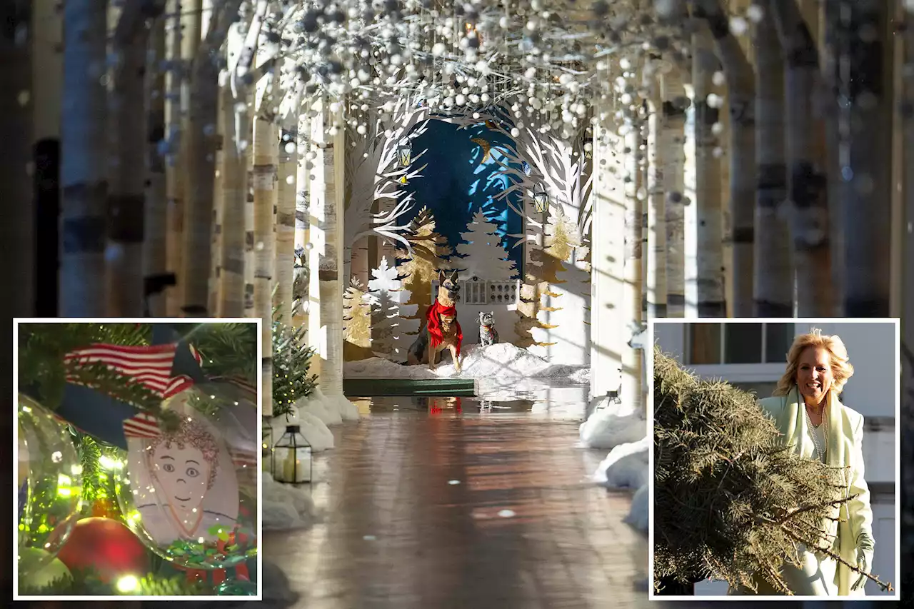 First lady Jill Biden unveils White House holiday decorations