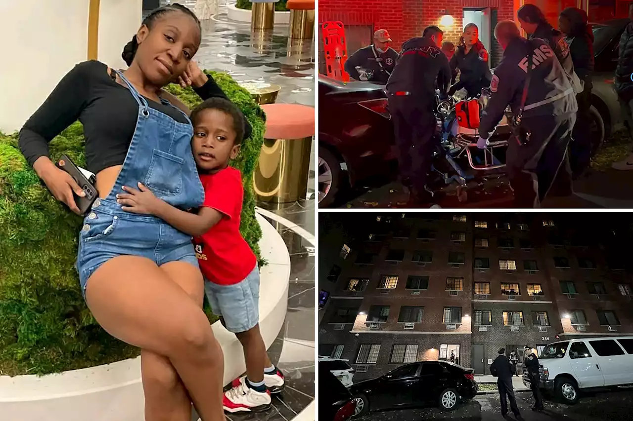 Mom of Bronx boys found fatally stabbed in bathtub charged with murder