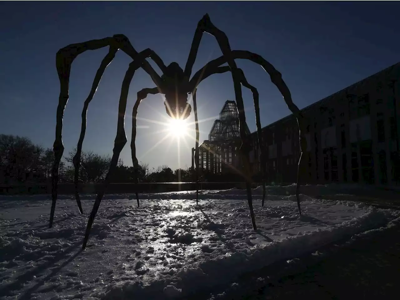 National Gallery of Canada at risk of cultural 'irrelevance', warn former senior staff