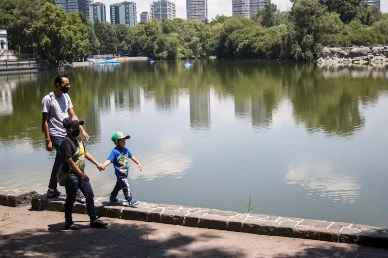 Ciudadanos denuncian muerte de peces en Lago de Chapultepec