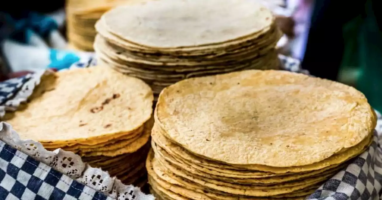 Kilo de tortilla en Guanajuato está entre los más caros a nivel nacional