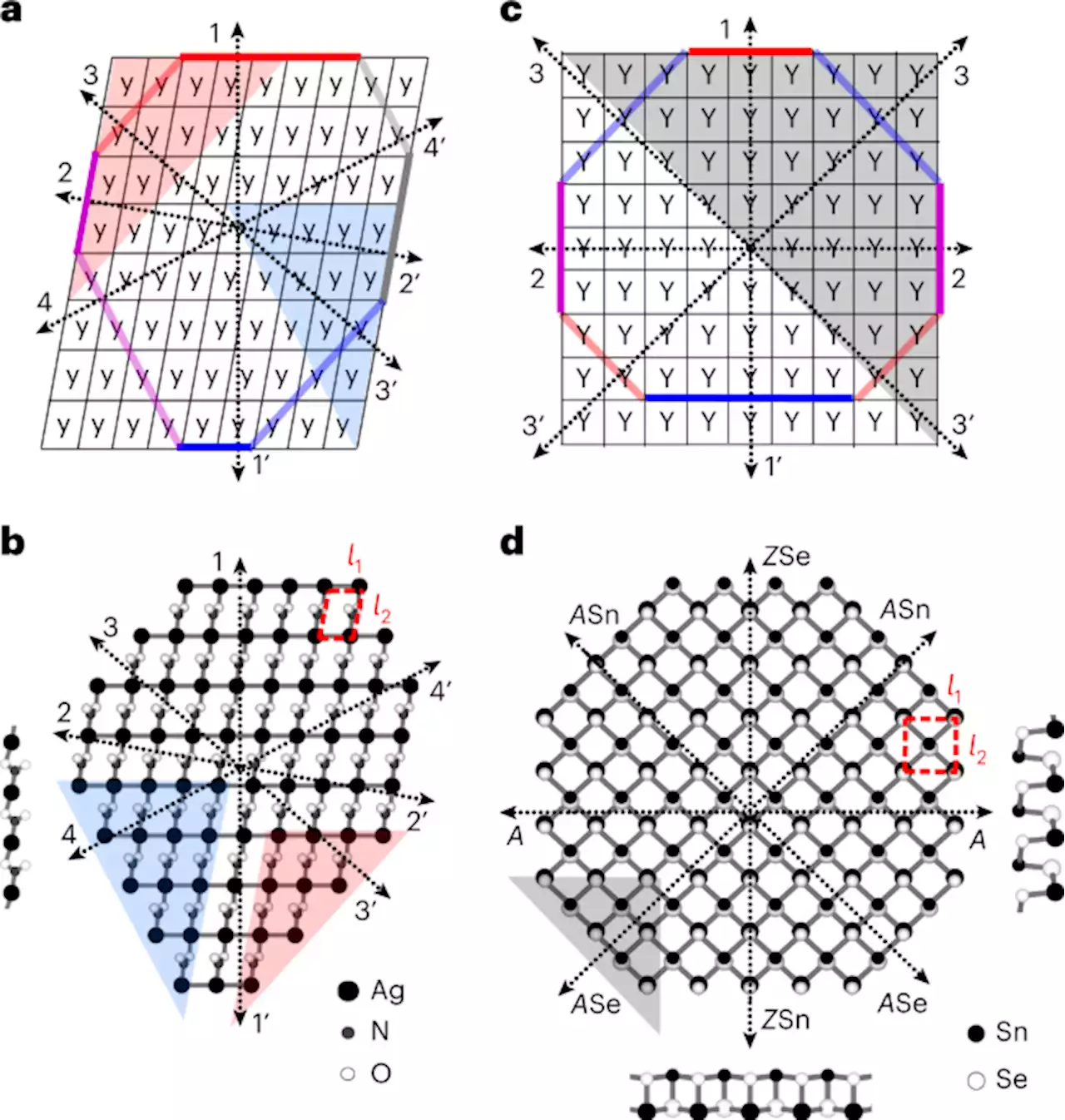 Defining shapes of two-dimensional crystals with undefinable edge energies - Nature Computational Science