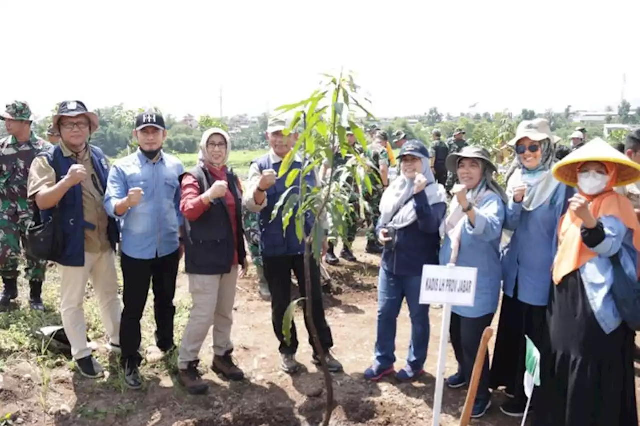 Hari Menanam Pohon, Masih Ada Lebih dari 900.000 Hektare Lahan Kritis di Jabar - Pikiran-Rakyat.com