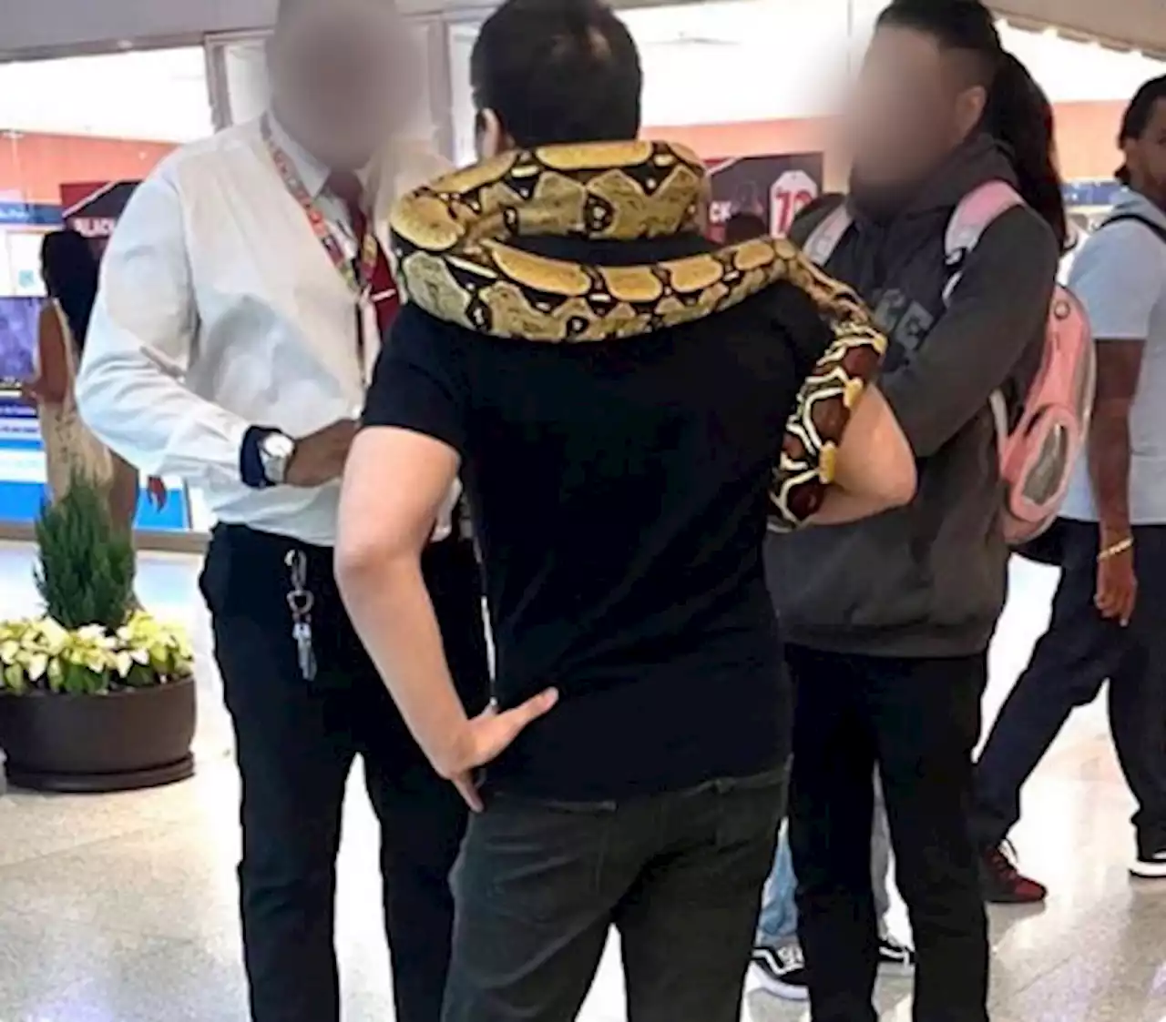 Homem é impedido de entrar em shopping com cobra de estimação