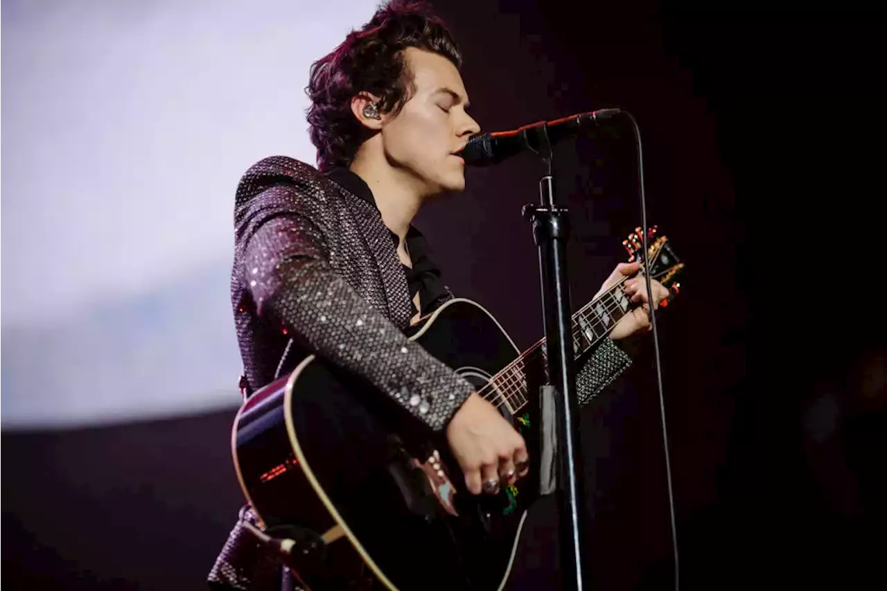 Peligro en concierto de Harry Styles en Bogotá: hubo fans desmayadas por estar apeñuscadas - Pulzo