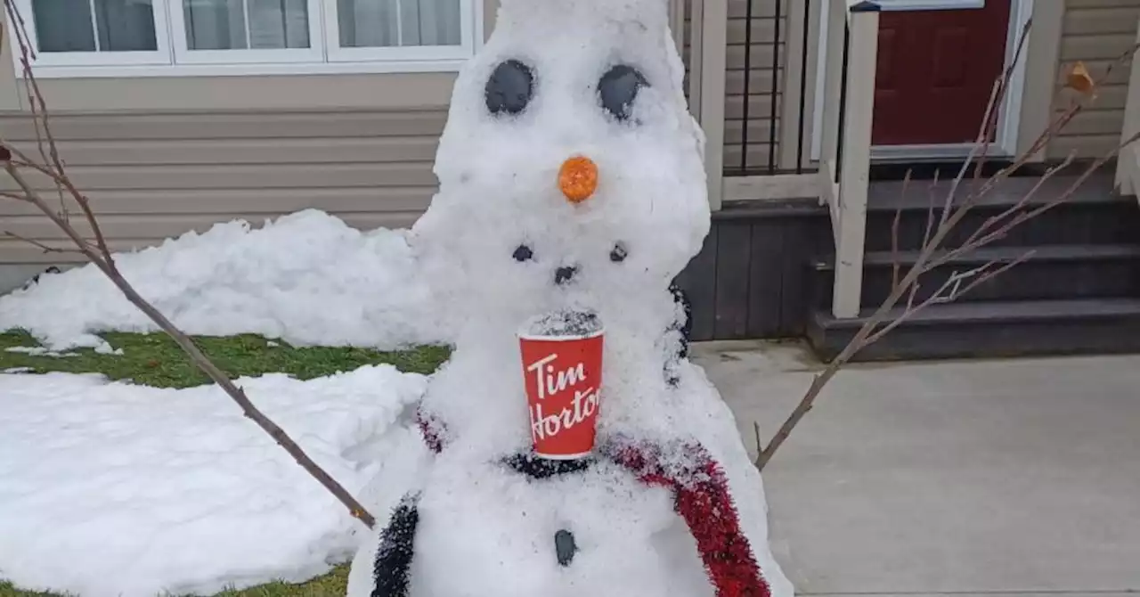 WEATHER PHOTO: A drink for Frosty in St. John's, N.L. | SaltWire