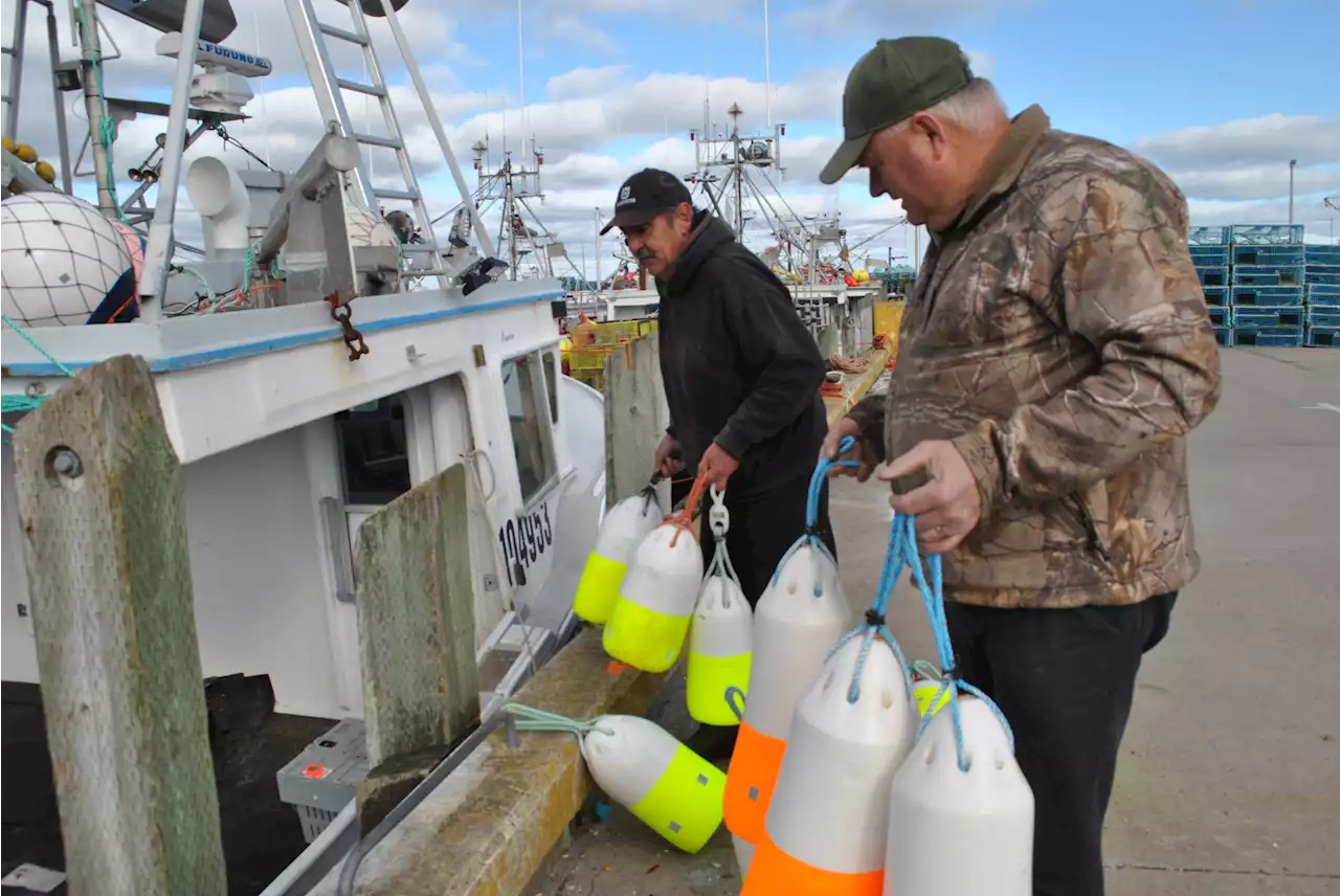 LOBSTER OUTLOOK: Pending lobster season could be 'tough pill to swallow’ in southwestern N.S. | SaltWire