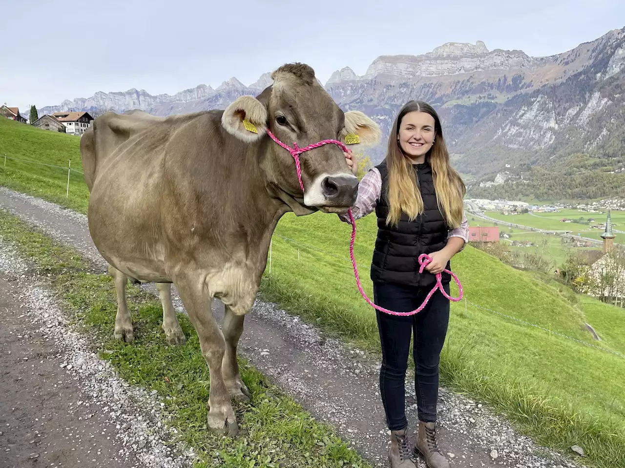 «Grosse Ehre, Braunvieh zu repräsentieren» - Schweizer Bauer