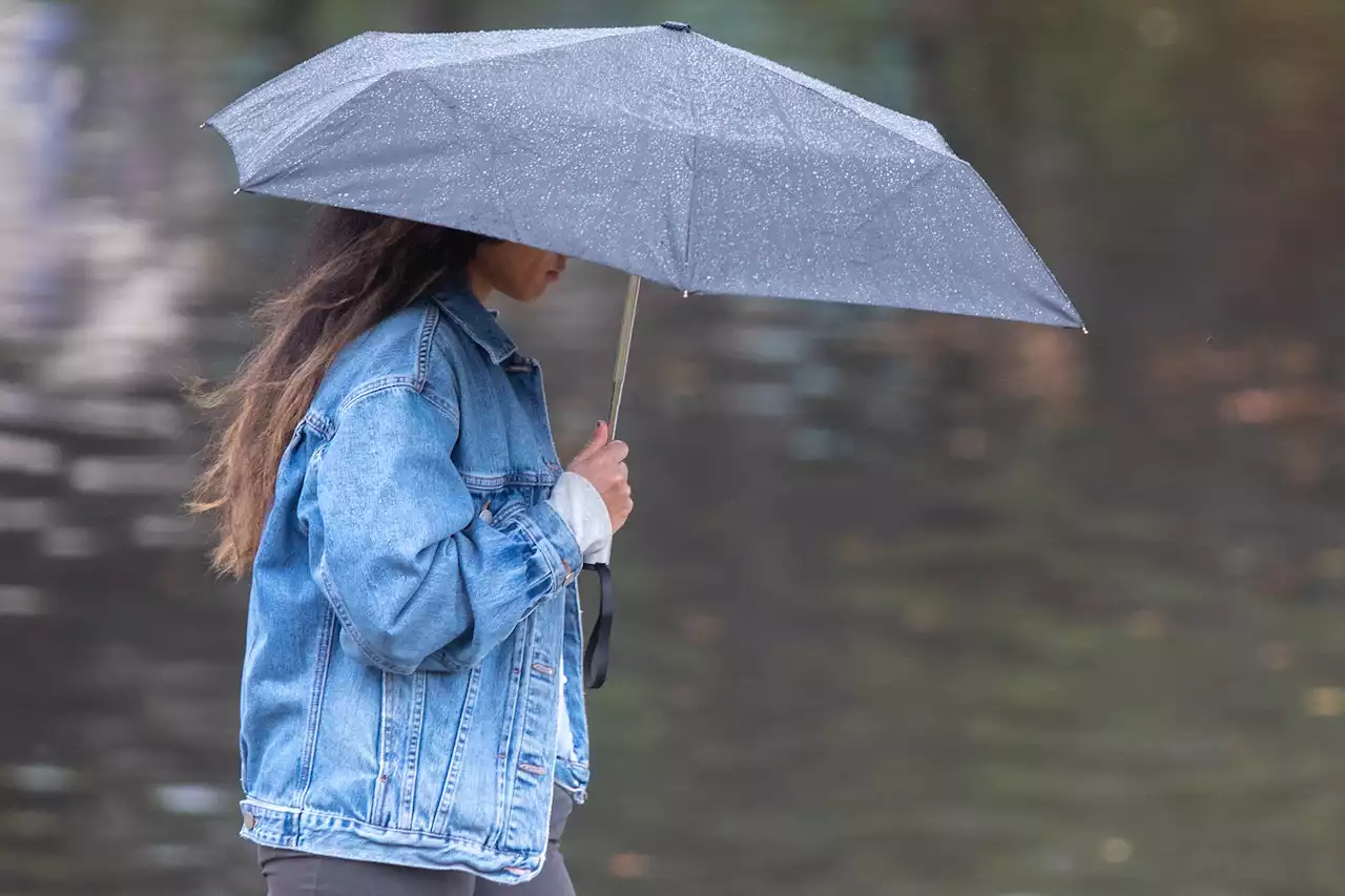 'Increasing potential for impactful rain' in the Bay Area this week