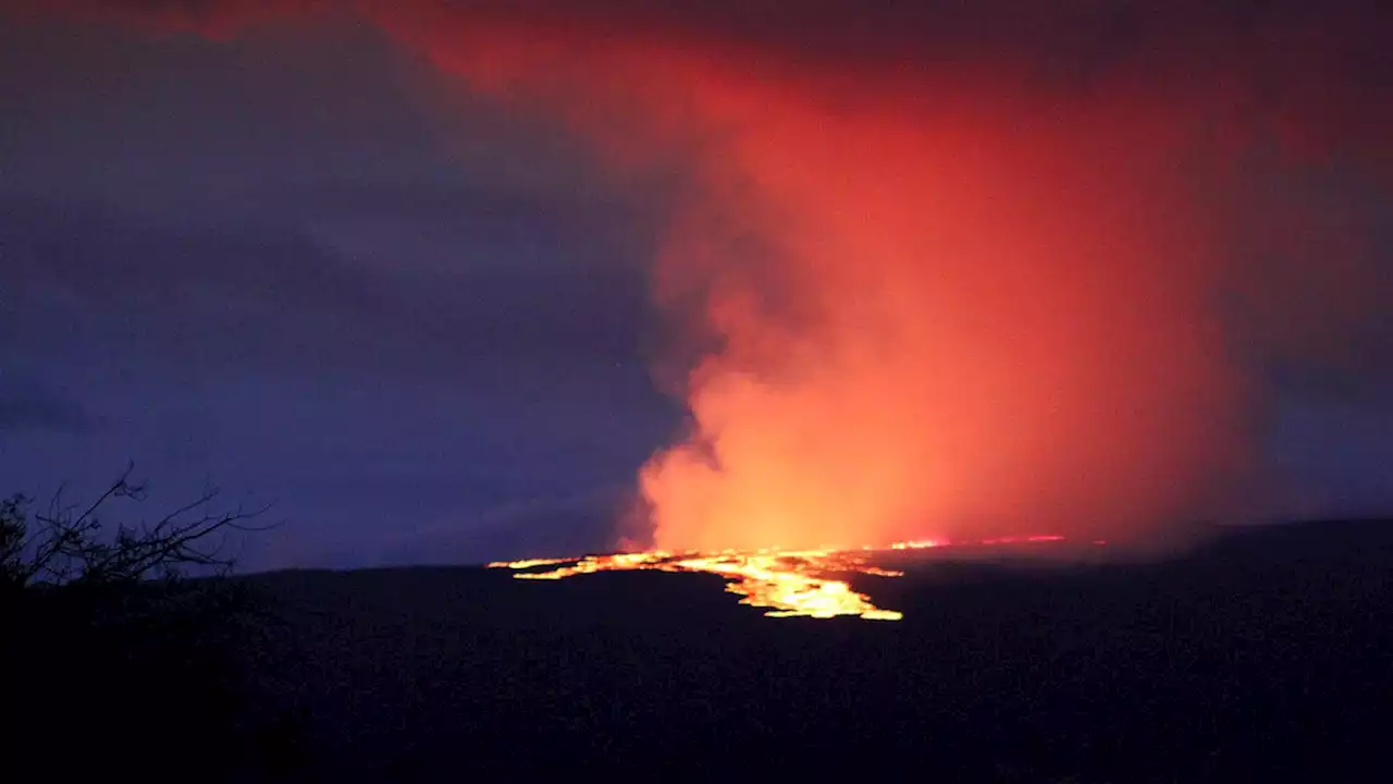 Hawaii’s Mauna Loa: World’s largest active volcano erupts for the first time in nearly four decades