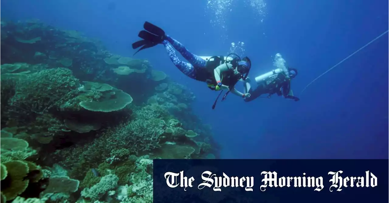 Great Barrier Reef should be added to heritage ‘danger’ list: UN report