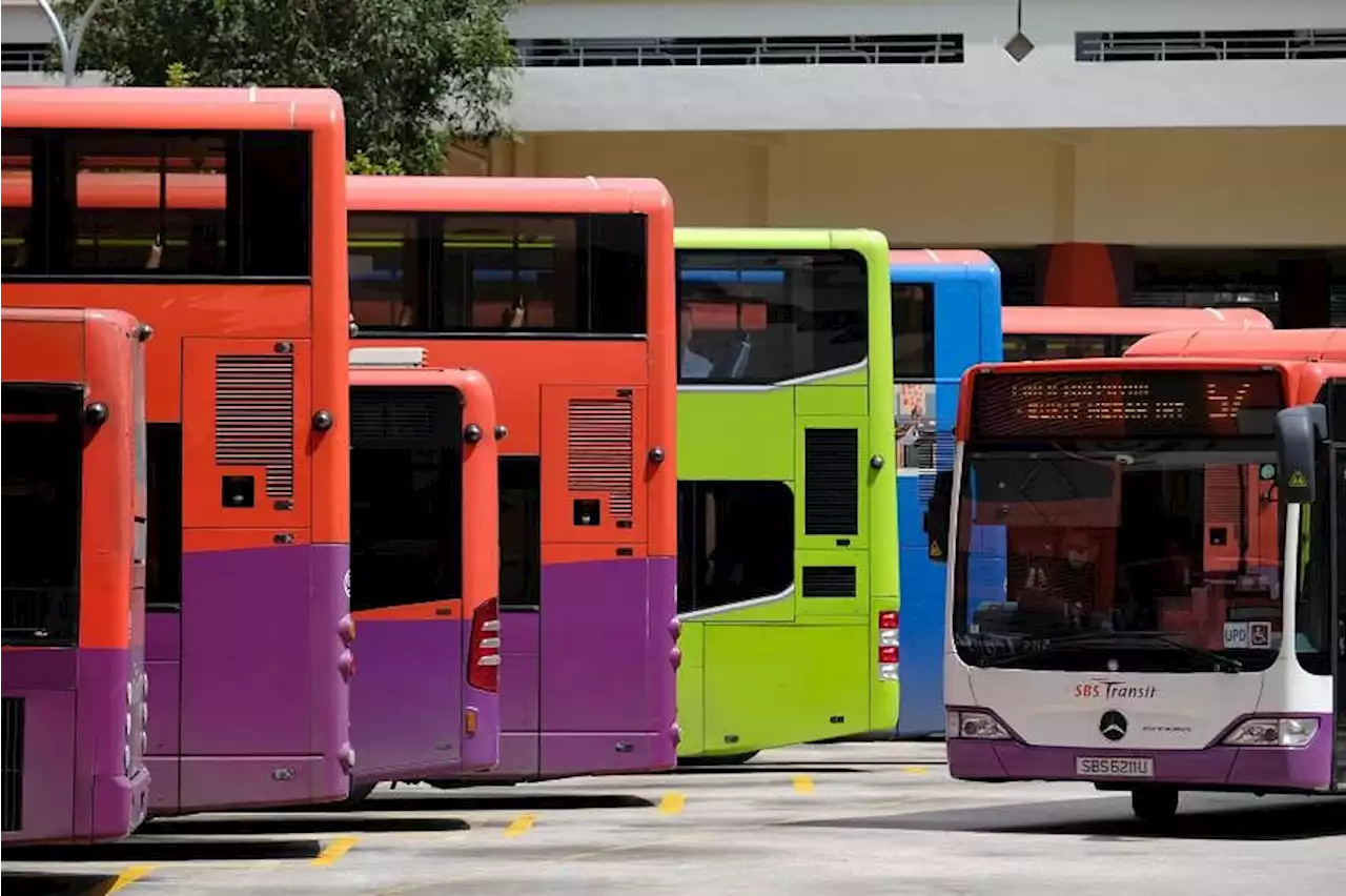27 reports of bus driver abuse in 2022, 35 such cases in 2021