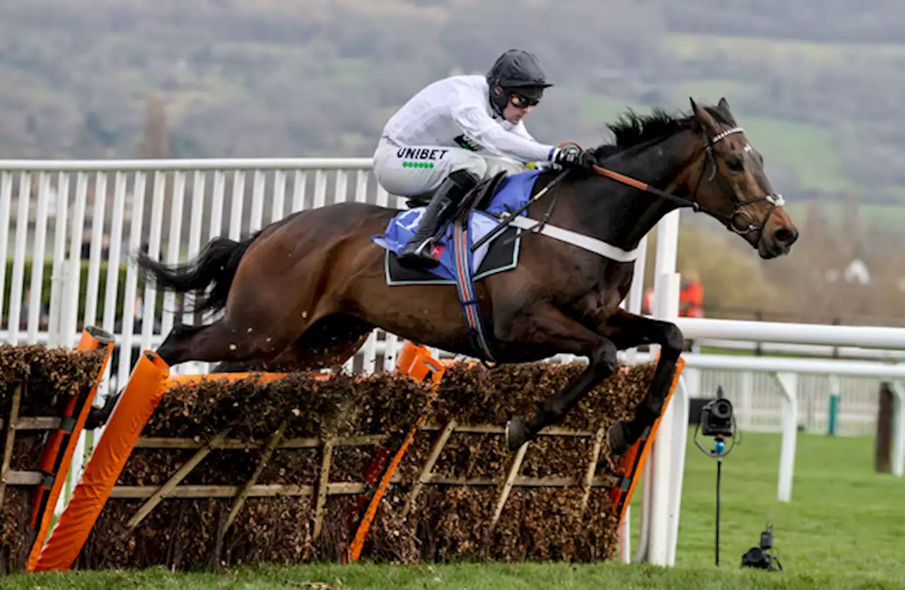 Donn McClean: Constitution Hill a strong Cheltenham contender after blistering run