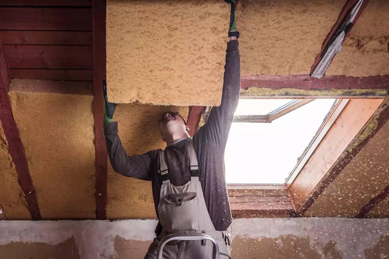 How to insulate your loft and not pay for it - Government energy efficiency schemes explained