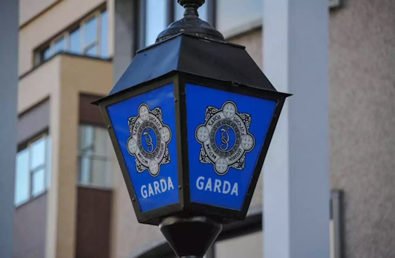 Child undergoing treatment for 'serious injuries' following alleged dog attack in Co Wexford