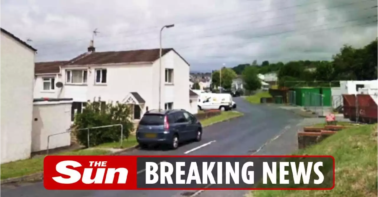 Two babies found dead in a house sparking police probe as three people arrested