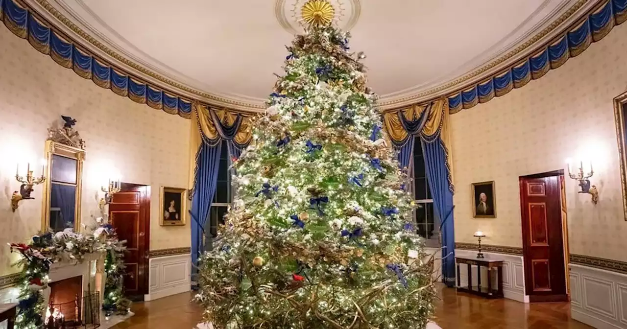 Jill Biden unveils festive White House Christmas decorations