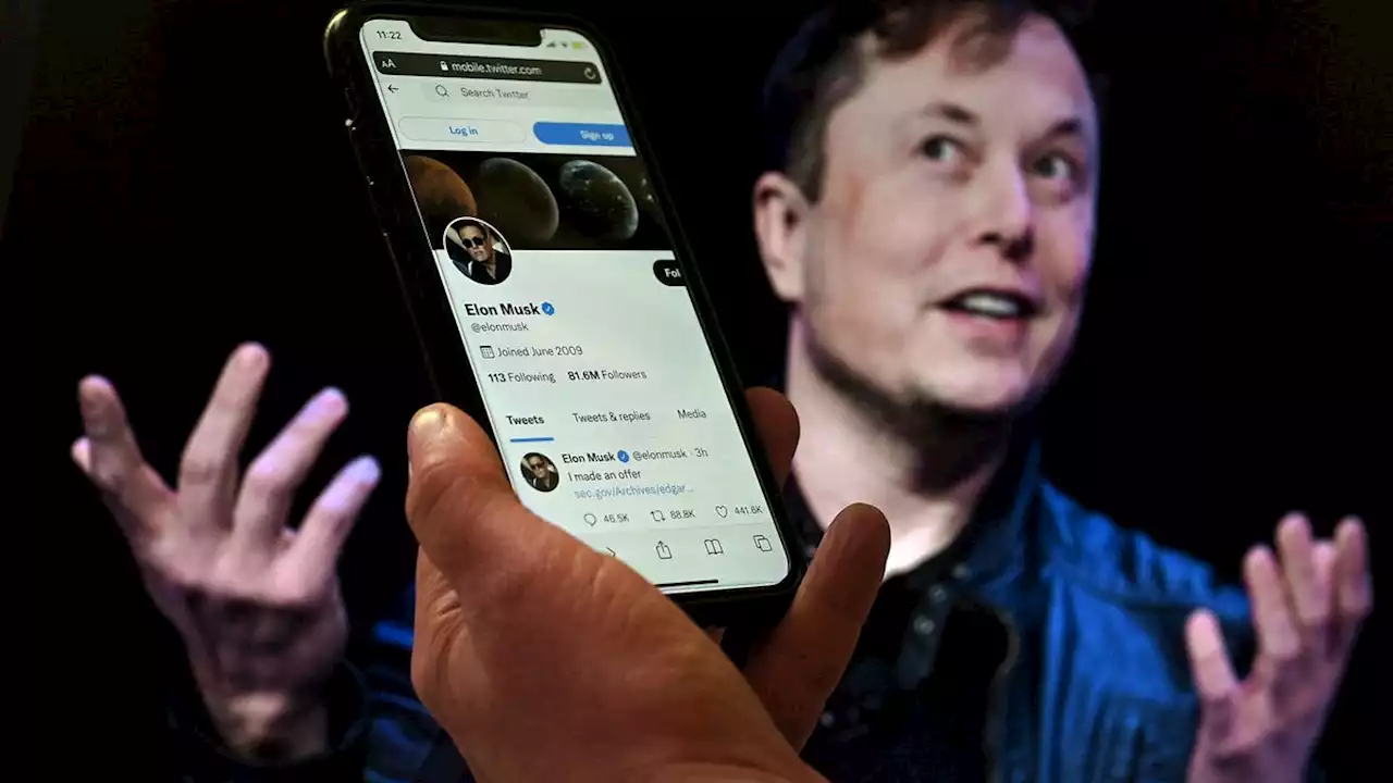 Will a new Twitter premium work? Elon Musk will try to relaunch next week